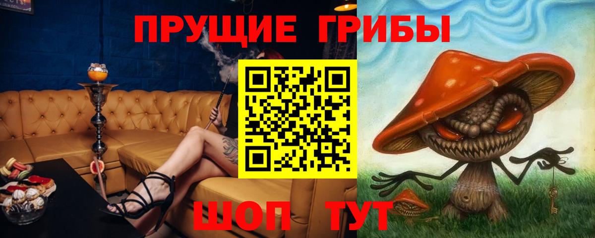 Семилуки  Псилоцибиновые грибы GOLDEN TEACHER  Вход с VPN  даркнет сайт  Псилоцибиновые грибы Cubensis 